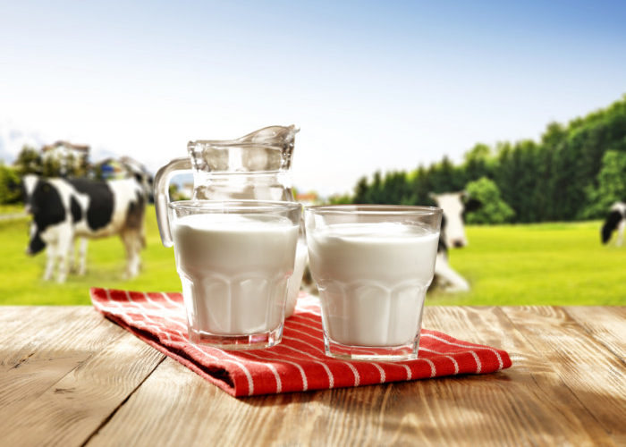 Why do humans drink cow milk?